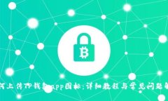 如何上传TP钱包app图标：详细教程与常见问题解析