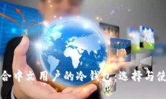 推荐适合中文用户的冷钱包：选择与使用指南