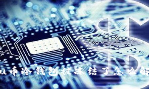 : u币冷钱包被冻结了怎么解开