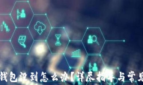 
提币到TP钱包没到怎么办？详尽指导与常见问题解答