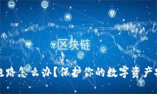 冷公司跑路怎么办？保护你的数字资产安全指南