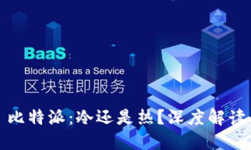 比特派：冷还是热？深度解读